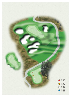 Hole 11: Par 3