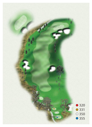 Hole 13: Par 4