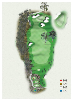 Hole 14: Par 4