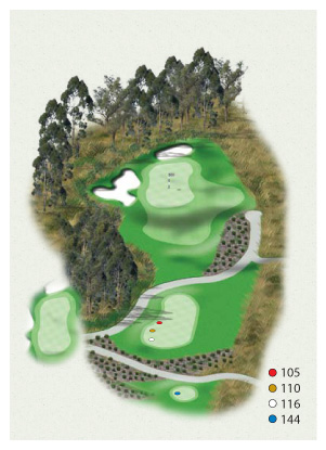 Hole 17: Par 3